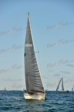 2017 Stamford Denmark Race_0213