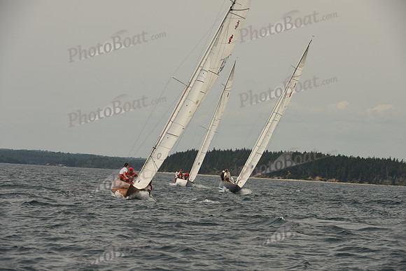 2016 Chester Race Week C_1077