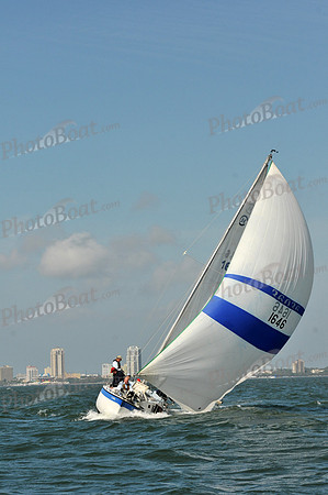 2012 Mar3 441