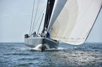 2019 Vineyard Race A_2841