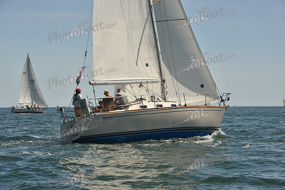 2024 Figawi 0451