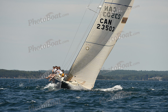 2016 Chester Race Week A_0661