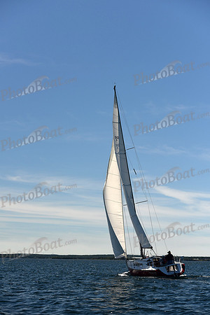 2016 Chester Race Week A1_0295