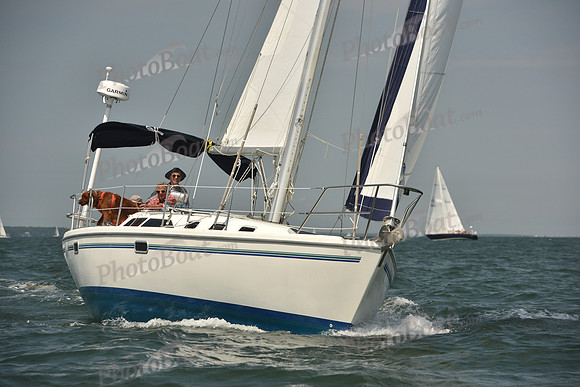 2018 Vineyard Cup A_0818
