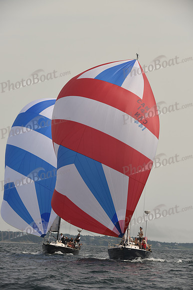 2016 Chester Race Week C_1449