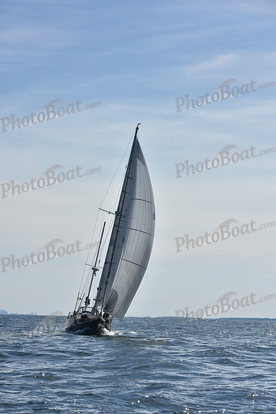 2019 Marblehead to Halifax A_2102