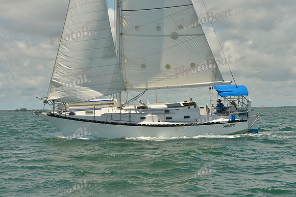 2018 Regatta del Sol al Sol_1366