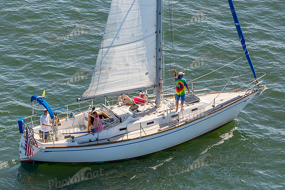 DBP_1451