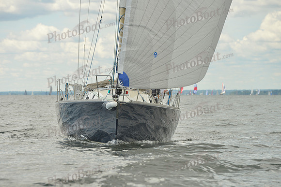 2016 Vineyard Race A_0883