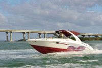 2019 Feb 10 Tampa Bay B_0476
