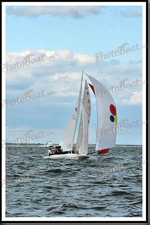 proof_2010_EScows_B 1091