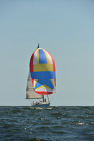 2015 Vineyard Race C 308