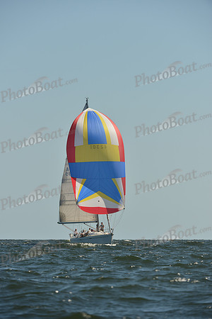 2015 Vineyard Race C 308