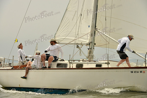 2016 Southern Bay Race Week A_1161