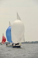 2016 Chester Race Week D_0313