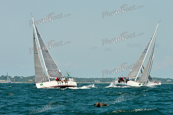 2016 NYYC Race Week A 208