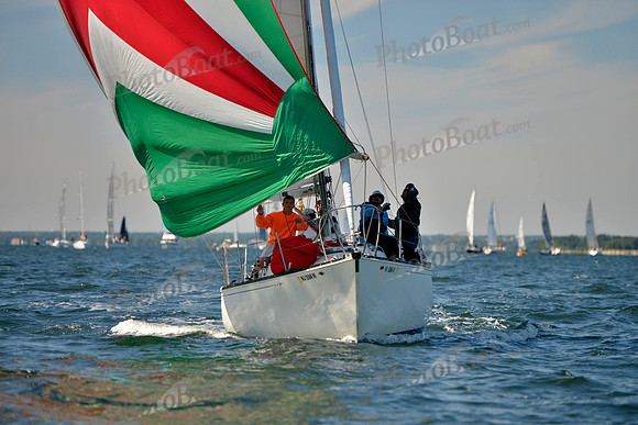 2017 Vineyard Race A_0239