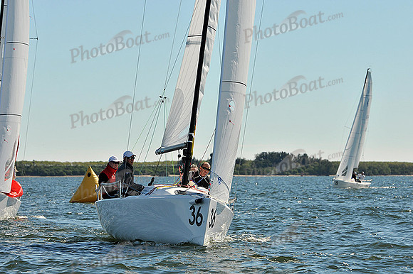 2014 J70 Winter Series C 262