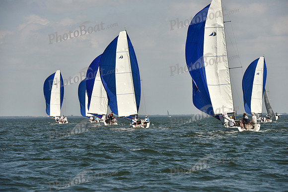 2019 St Pete NOOD D_0129