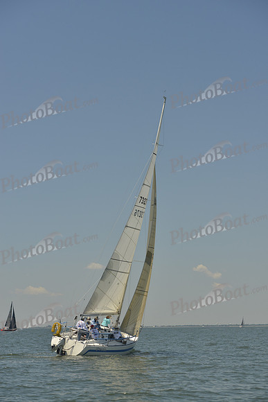 2017 Southern Bay Race Week B_1587