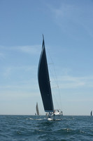 Delphinus 33033