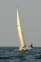 2011 Vineyard Race B 564