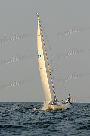2011 Vineyard Race B 564