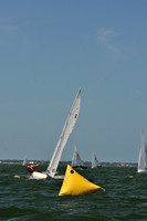 2012 Thistle Midwinters B 705