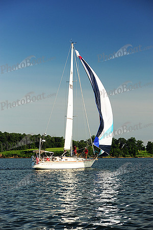 2015 Gov Cup D 273