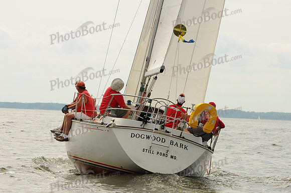 2011 Gov Cup A 655