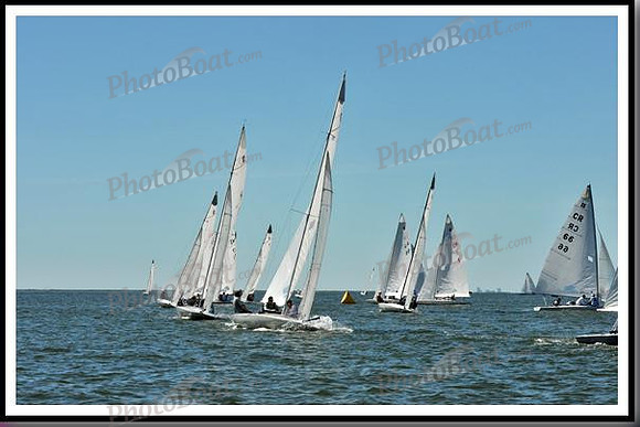 proof_2010_EScows_D 201