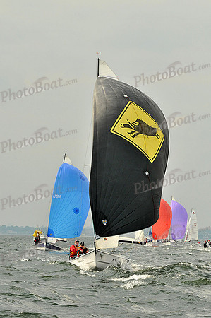 2012 HPDO A 1736
