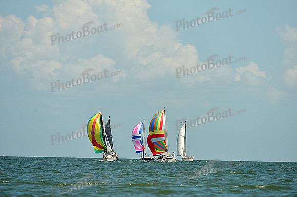 2015 Southern Bay Race Week C 981