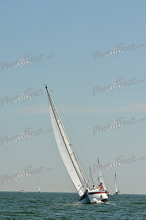 2013 Southern Bay Race Week C 1341