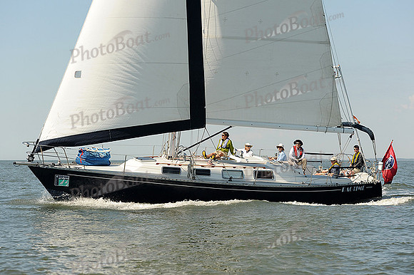 2014 Charleston Race Week A 565