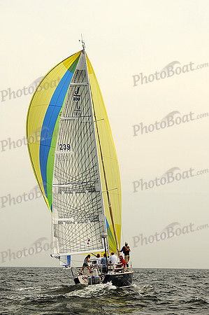 2013 Vineyard Race A 316