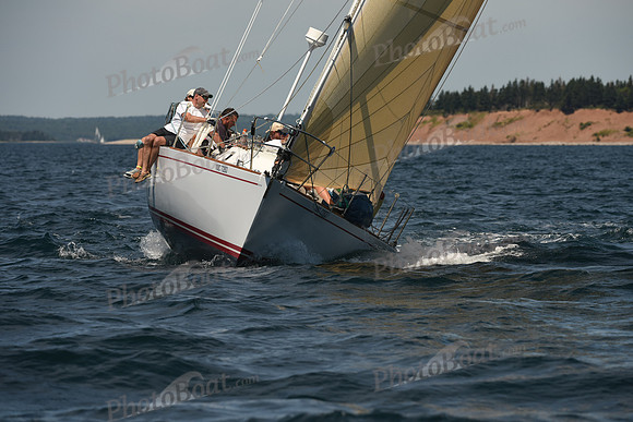 2016 Chester Race Week A_0299