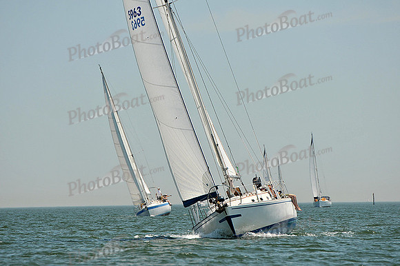 2013 Southern Bay Race Week C 1365