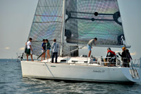 Jamala IV