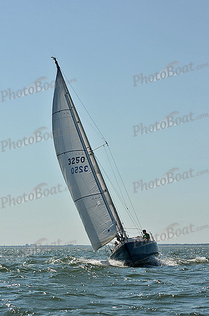 2013 Southern Bay Race Week D 041