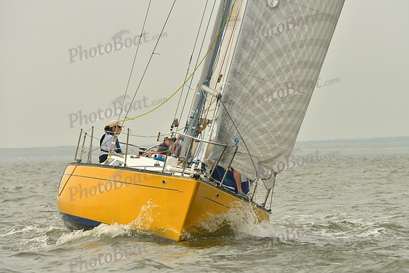 2016 Southern Bay Race Week A_0519