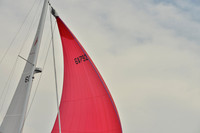 2018 Figawi_2474