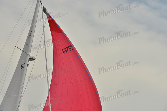 2018 Figawi_2474