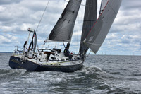 2021 Vineyard Race A 0685