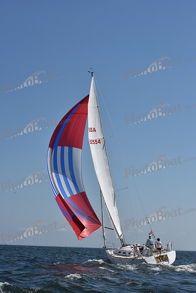 2020 Vineyard Race A_0961