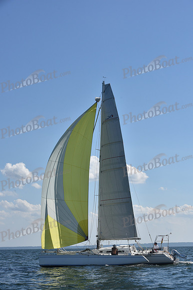 2020 Vineyard Race A_2066