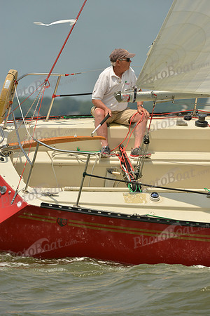 2016 Southern Bay Race Week A_1764