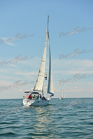 2015 Cape Charles Cup C 449