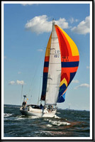 proof_2010_Vineyard_Race_0252