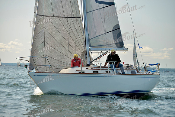 2017 Stamford Denmark Race_0218